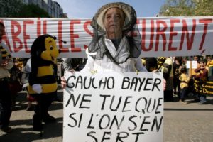 People dressed as bees demonstrate again